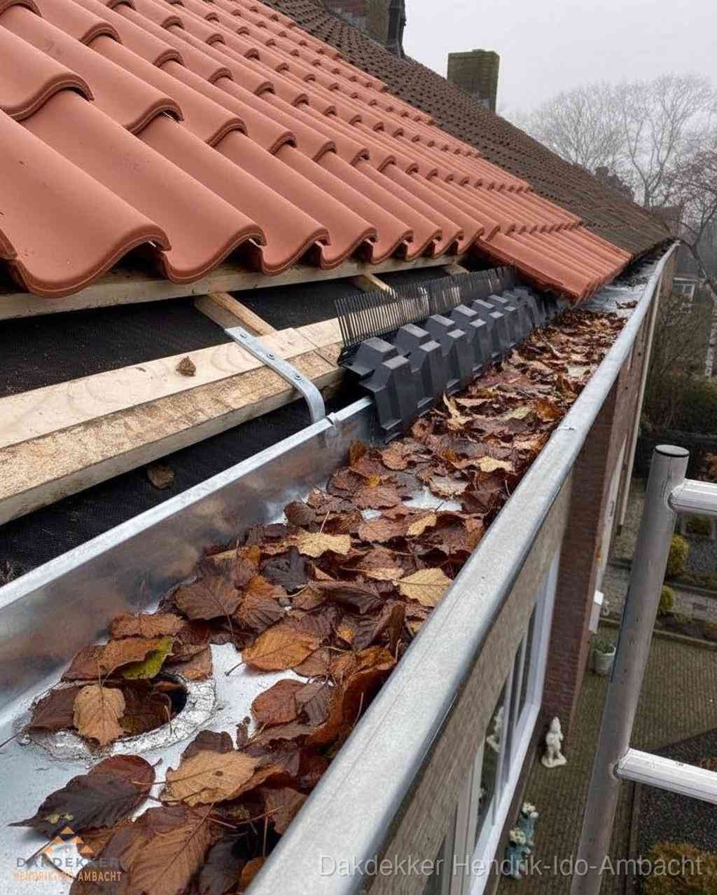 Dakgoten Reinigen Dakdekker Hendrikidoambacht Dakgoten Reinigen Dakdekker Hendrikidoambacht